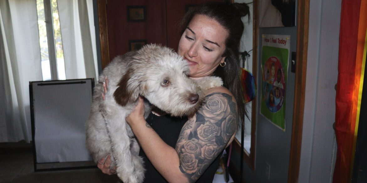 a therapist dog